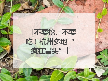 不要挖、不要吃！杭州多地“疯狂冒头”