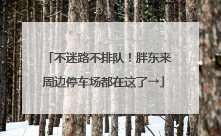 不迷路不排队！胖东来周边停车场都在这了→