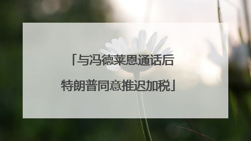 与冯德莱恩通话后 特朗普同意推迟加税