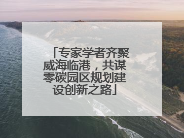 专家学者齐聚威海临港，共谋零碳园区规划建设创新之路