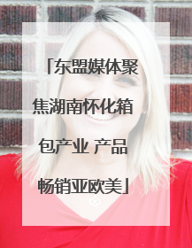 东盟媒体聚焦湖南怀化箱包产业 产品畅销亚欧美