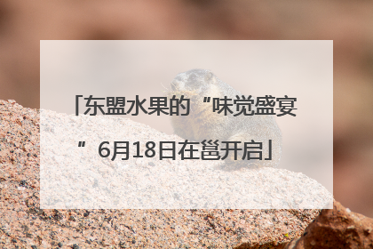 东盟水果的“味觉盛宴”6月18日在邕开启