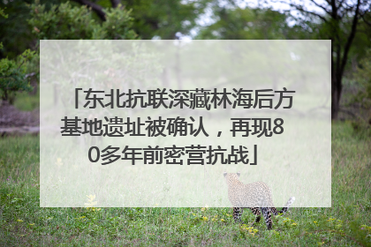 东北抗联深藏林海后方基地遗址被确认，再现80多年前密营抗战