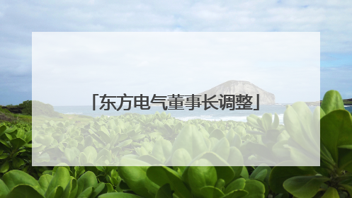 东方电气董事长调整