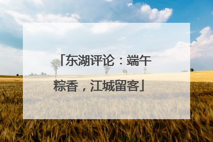 东湖评论：端午粽香，江城留客