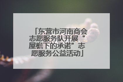 东营市河南商会志愿服务队开展“屋檐下的承诺”志愿服务公益活动