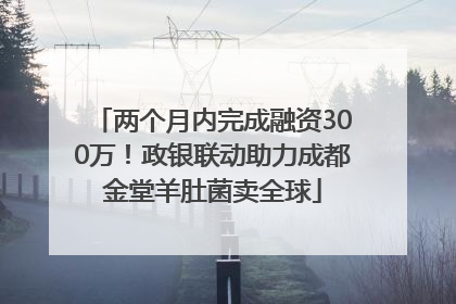 两个月内完成融资300万！政银联动助力成都金堂羊肚菌卖全球