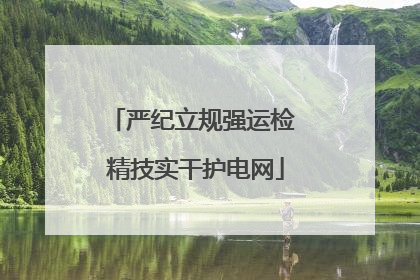 严纪立规强运检 精技实干护电网