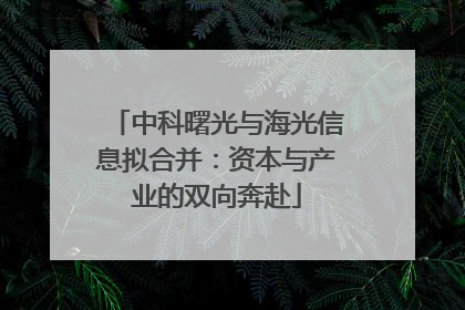 中科曙光与海光信息拟合并：资本与产业的双向奔赴