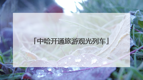 中哈开通旅游观光列车