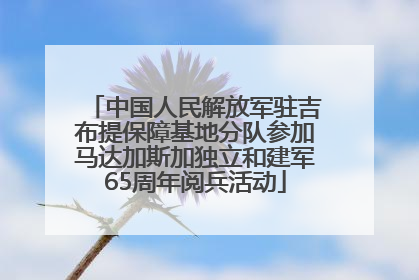 中国人民解放军驻吉布提保障基地分队参加马达加斯加独立和建军65周年阅兵活动
