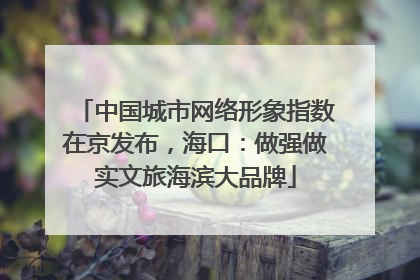 中国城市网络形象指数在京发布，海口：做强做实文旅海滨大品牌