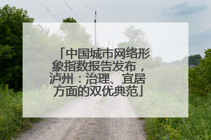 中国城市网络形象指数报告发布，泸州：治理、宜居方面的双优典范