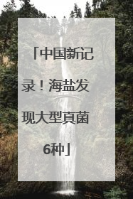 中国新记录！海盐发现大型真菌6种