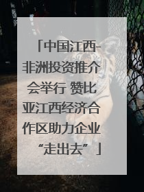 中国江西-非洲投资推介会举行 赞比亚江西经济合作区助力企业“走出去”