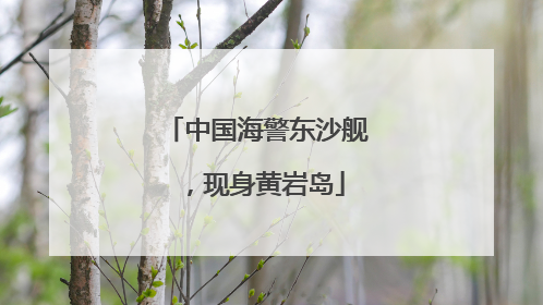中国海警东沙舰，现身黄岩岛