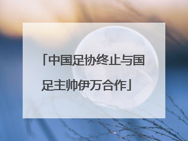中国足协终止与国足主帅伊万合作