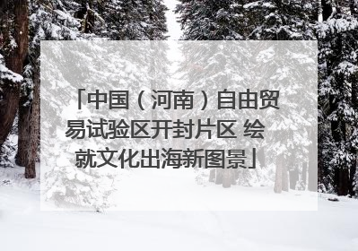 中国（河南）自由贸易试验区开封片区 绘就文化出海新图景