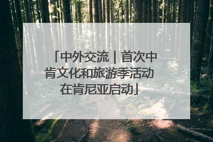 中外交流｜首次中肯文化和旅游季活动在肯尼亚启动
