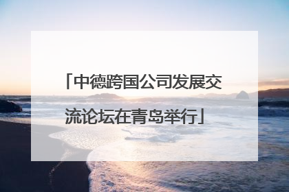 中德跨国公司发展交流论坛在青岛举行