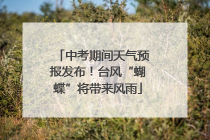 中考期间天气预报发布！台风“蝴蝶”将带来风雨