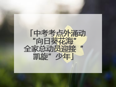 中考考点外涌动“向日葵花海” 全家总动员迎接“凯旋”少年