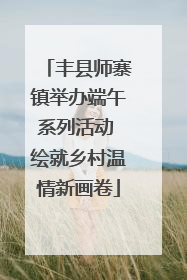 丰县师寨镇举办端午系列活动 绘就乡村温情新画卷