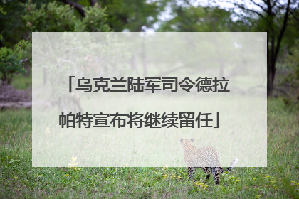 乌克兰陆军司令德拉帕特宣布将继续留任