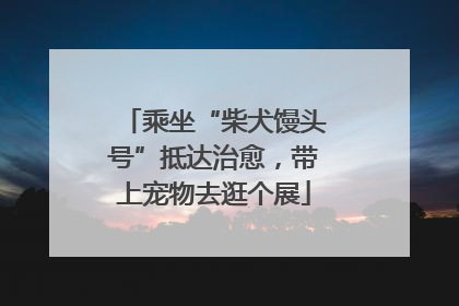 乘坐“柴犬馒头号”抵达治愈，带上宠物去逛个展