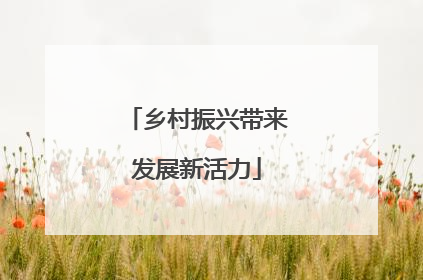 乡村振兴带来发展新活力