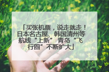 买张机票，说走就走！日本名古屋、韩国清州等航线“上新” 青岛“飞行圈”不断扩大