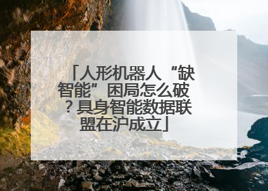 人形机器人“缺智能”困局怎么破？具身智能数据联盟在沪成立