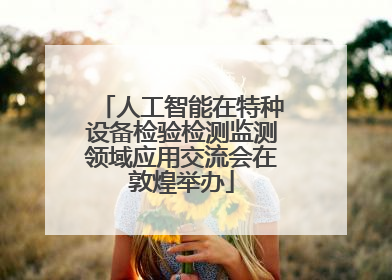 人工智能在特种设备检验检测监测领域应用交流会在敦煌举办