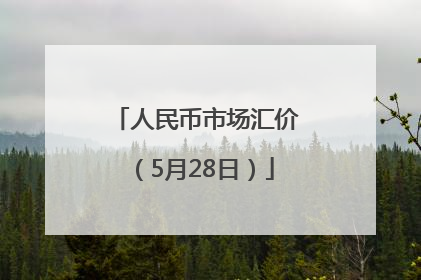 人民币市场汇价（5月28日）