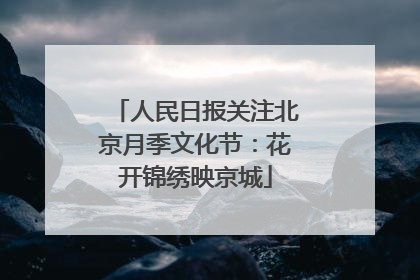 人民日报关注北京月季文化节：花开锦绣映京城