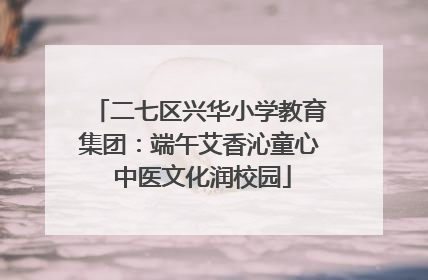 二七区兴华小学教育集团：端午艾香沁童心 中医文化润校园