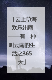 云上草海 欢乐出圈——有一种叫云南的生活之365天