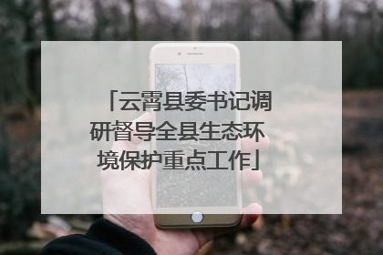 云霄县委书记调研督导全县生态环境保护重点工作