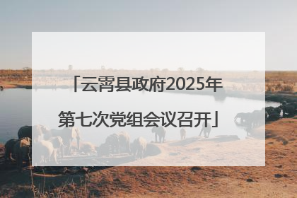 云霄县政府2025年第七次党组会议召开