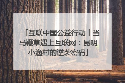 互联中国公益行动丨当马鞭草遇上互联网：昆明小渔村的逆袭密码