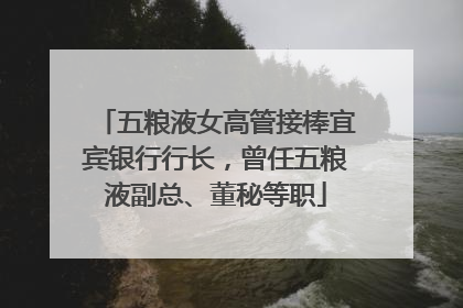 五粮液女高管接棒宜宾银行行长，曾任五粮液副总、董秘等职