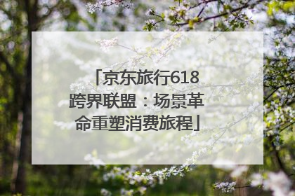 京东旅行618跨界联盟：场景革命重塑消费旅程