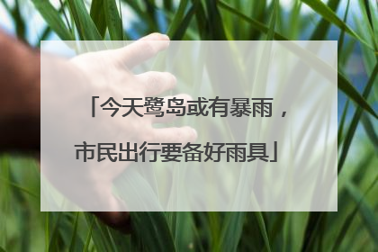 今天鹭岛或有暴雨，市民出行要备好雨具