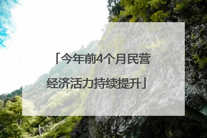 今年前4个月民营经济活力持续提升