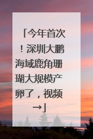 今年首次！深圳大鹏海域鹿角珊瑚大规模产卵了，视频→