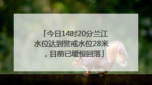 今日14时20分兰江水位达到警戒水位28米，目前已缓慢回落