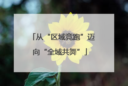 从“区域竞跑”迈向“全域共舞”