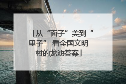 从“面子”美到“里子” 看全国文明村的龙池答案