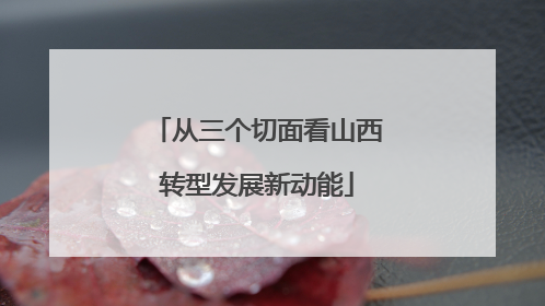 从三个切面看山西转型发展新动能