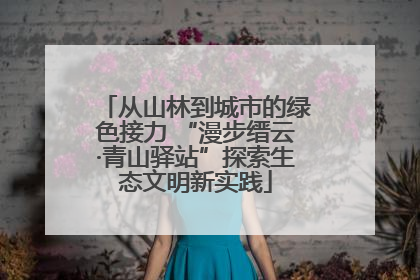 从山林到城市的绿色接力 “漫步缙云·青山驿站”探索生态文明新实践